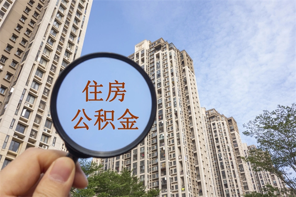 巨野辞职了补充公积金能取不（辞职后补充公积金如何提取）